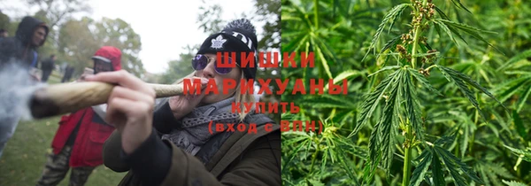 ГАЛЛЮЦИНОГЕННЫЕ ГРИБЫ Бугульма